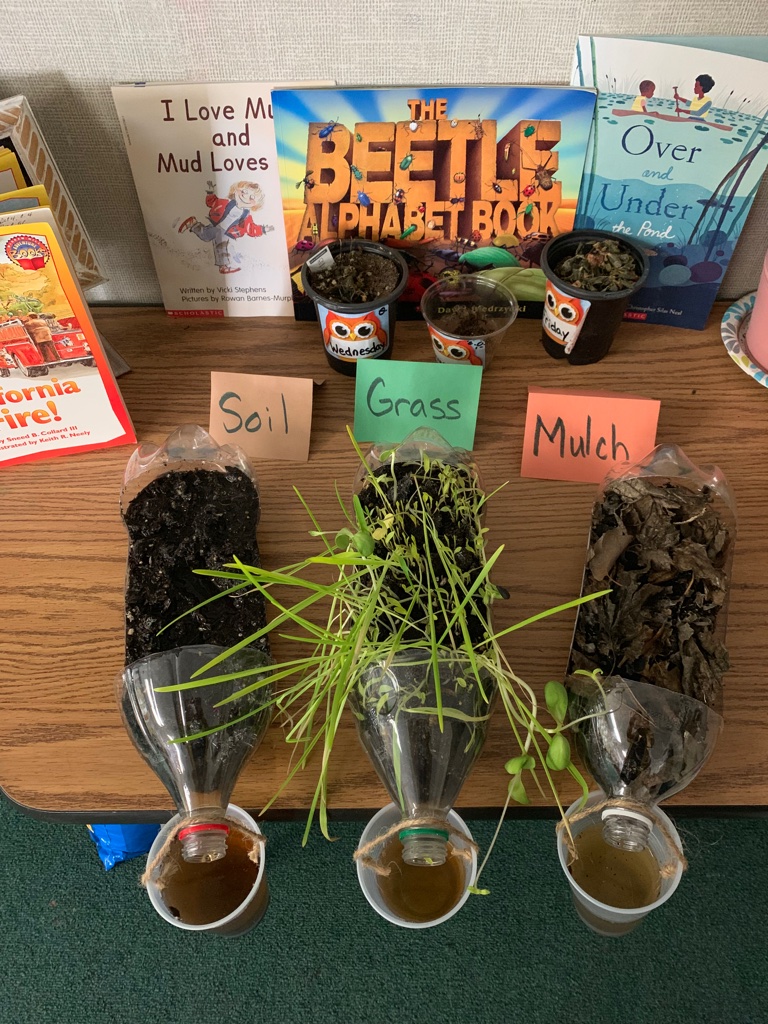 Tabletop science experiment
