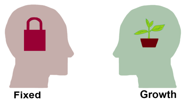 Two outlined heads. One with a lock for fixed and one with a plant to signify growth.