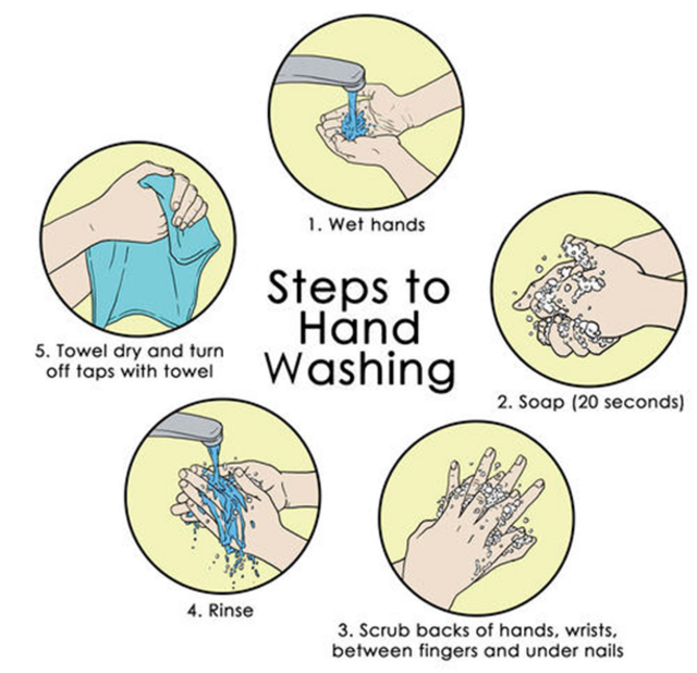 The proper way to wash your hands
