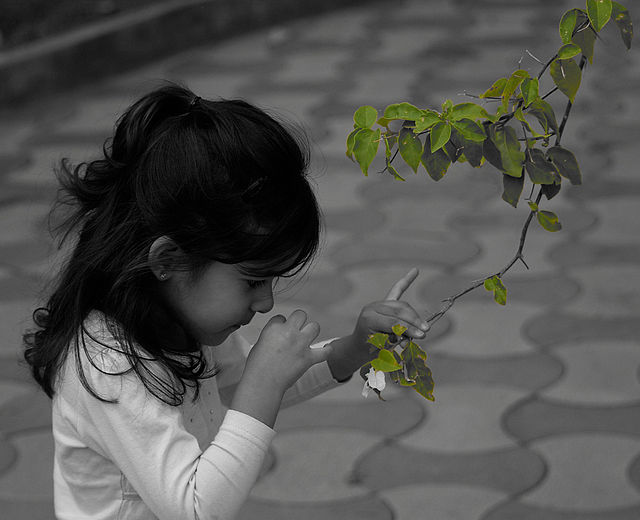 Child smelling a leaf from a tree
