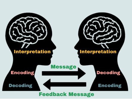 Silhouettes of two heads with brains illustrate communication processes, labeled with encoding, decoding, message, and feedback.