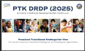 PTK DRDP (2025)Cover