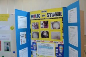 An educational display board titled "FROM MILK TO STONE," featuring photographs and text that illustrate milk processing. The board is flanked by blue panels