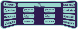 A visual layout for a science project outlining sections to be on the display