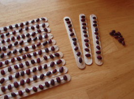 Popsicle sticks with 10 beans glued on each