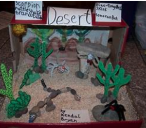 Student desert diorama scene with cactus and lizards in a shoebox