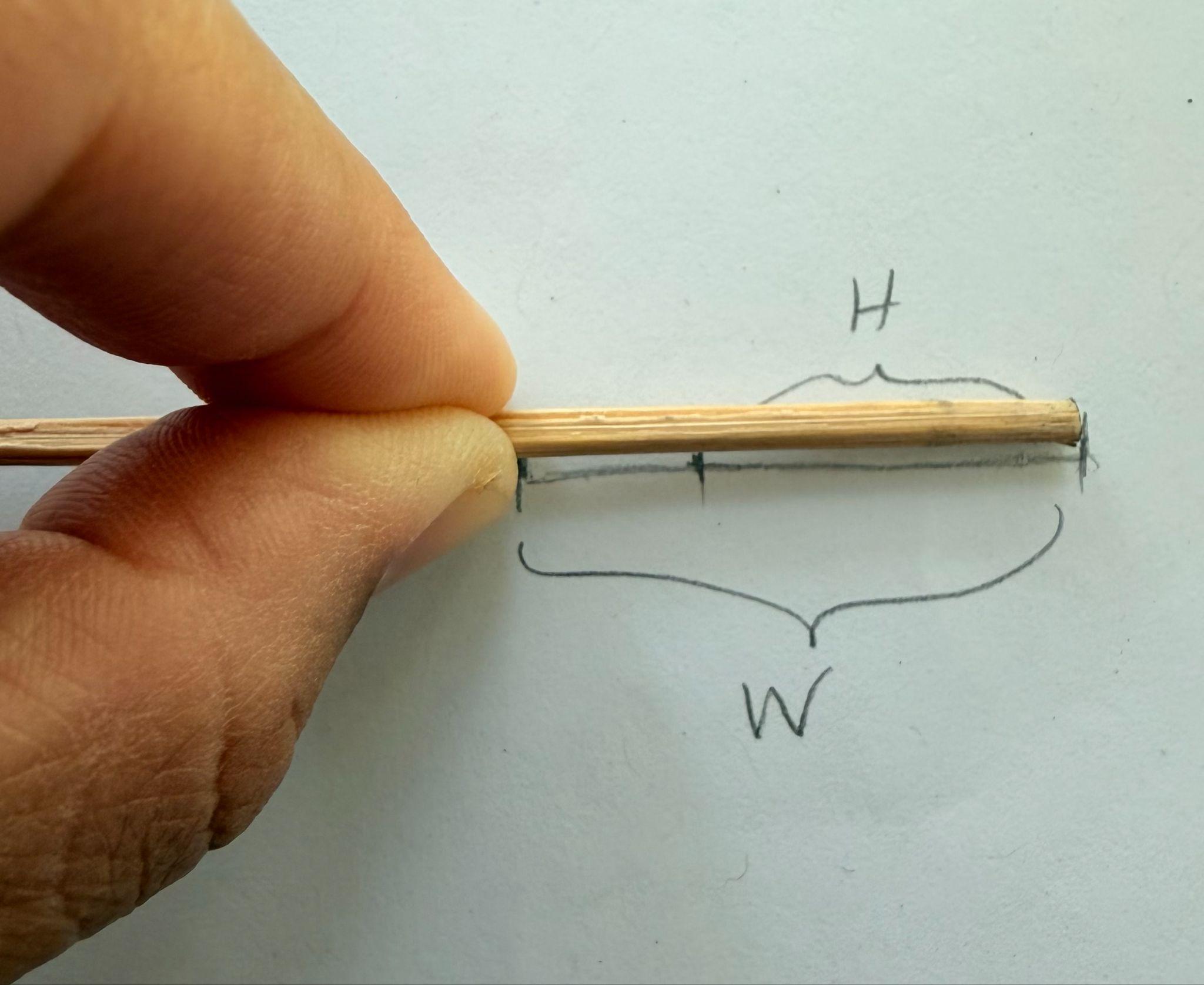 Photograph showing a hand holding a thin wooden stick horizontally against a white background with handwritten labels "H" and "W" marking sections of the stick. The image illustrates measurement or comparison of height (H) and width (W) dimensions on the stick, with brackets indicating the labeled areas.