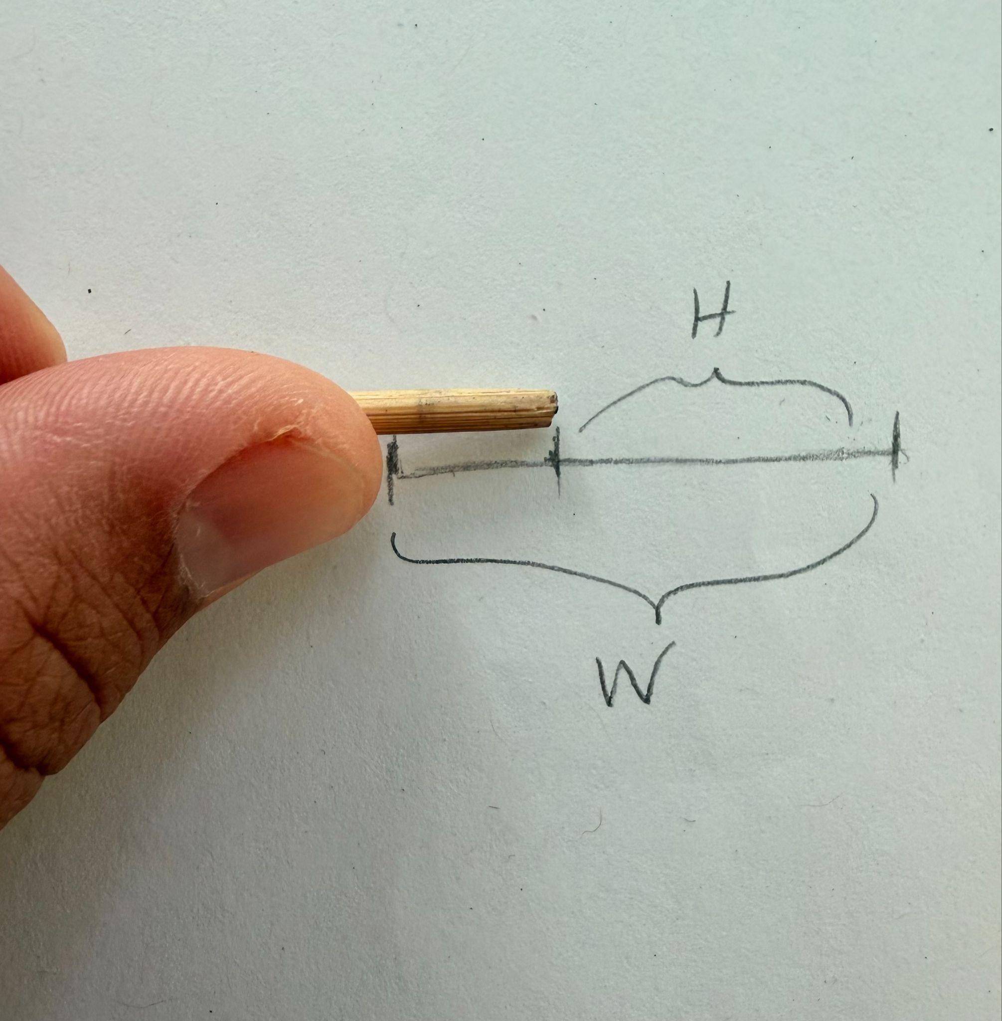 Photograph showing a close-up of a hand holding a small wooden stick next to a hand-drawn horizontal line with two labeled brackets, "H" above a shorter segment and "W" below a longer segment. The drawing appears to illustrate measurement or comparison of lengths, with clear marks and labels emphasizing different sections of the line.