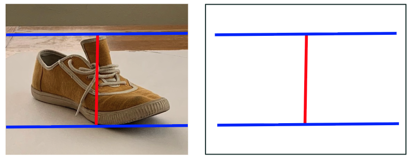 A side-by-side comparison shows a photograph of a brown sneaker with a red vertical line and two blue horizontal lines overlaid, alongside a simplified diagram replicating the lines' positions. The lines highlight alignment and proportion, with blue lines marking top and bottom boundaries and the red line indicating a central vertical division.