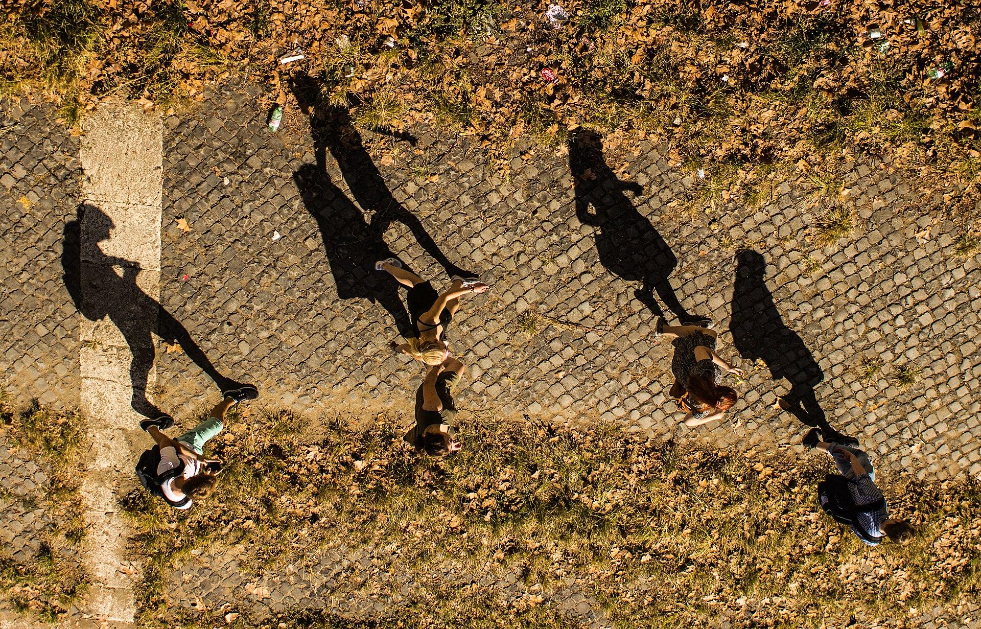 Aerial photograph showing five people walking on a cobblestone path with grass on either side, casting long shadows due to low sunlight. Shadows create distinct elongated shapes, emphasizing the time of day and direction of light.