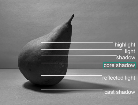 Black and white photograph of a pear with labeled lighting effects illustrating highlight, light, shadow, core shadow, reflected light, and cast shadow. Labels are aligned with white lines pointing to corresponding areas on the pear and its shadow, demonstrating key components of light and shadow.