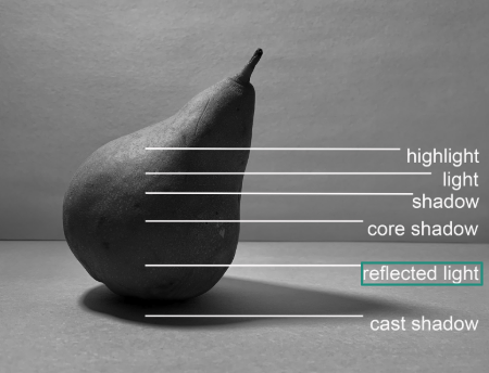 Photograph of a pear demonstrating different lighting effects with labeled lines indicating highlight, light, shadow, core shadow, reflected light, and cast shadow. The grayscale image emphasizes contrast and shading to illustrate how light interacts with the pear's surface and surrounding area.