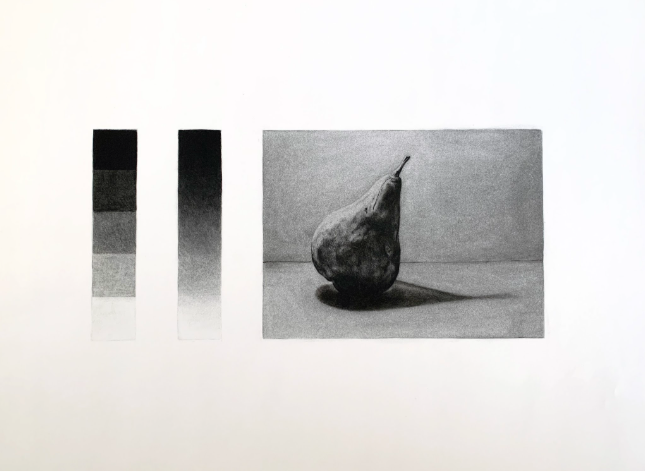 A grayscale drawing showing two vertical value scales and a shaded pear on a flat surface. The scales range from black to white, demonstrating shading techniques used to create depth and realism in the pear illustration.