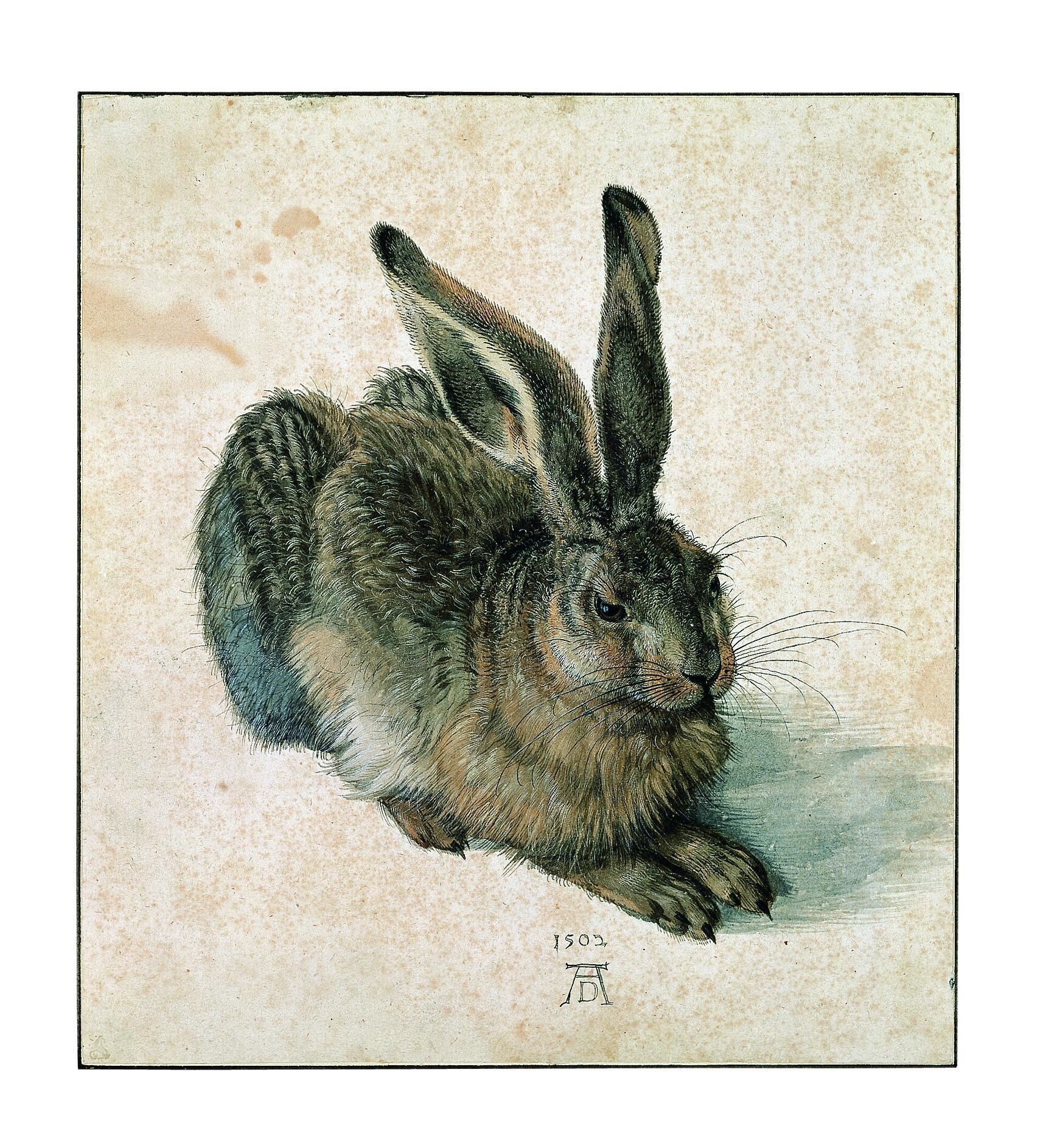 A detailed colored drawing of a resting hare with long ears and textured fur, created in 1502. The artwork features subtle shading and fine lines, emphasizing realistic fur patterns and natural posture.