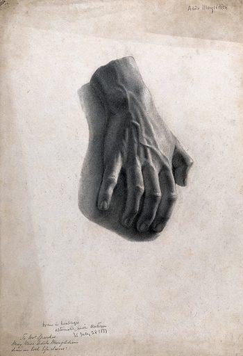 A detailed black and white charcoal drawing of a human hand viewed from the back, showcasing prominent veins and realistic shading. The artwork emphasizes anatomical accuracy and depth, with handwritten notes and a signature visible near the bottom and top right corners.