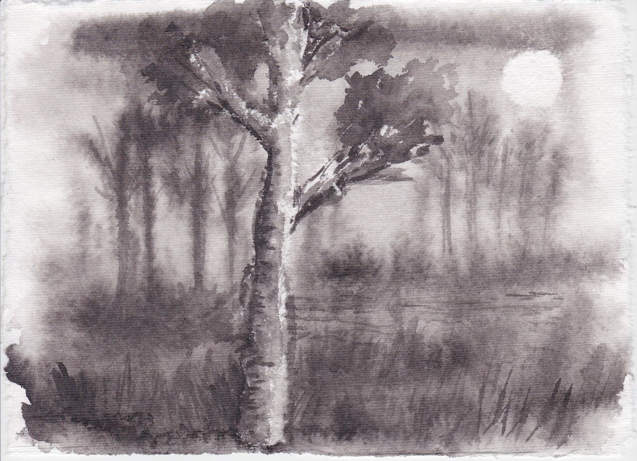 A monochromatic ink wash painting depicts a birch tree in a misty forest with a bright sun or moon in the background. Soft, blurred brushstrokes create depth with darker foliage and grass in foreground and faint tree silhouettes fading into fog.