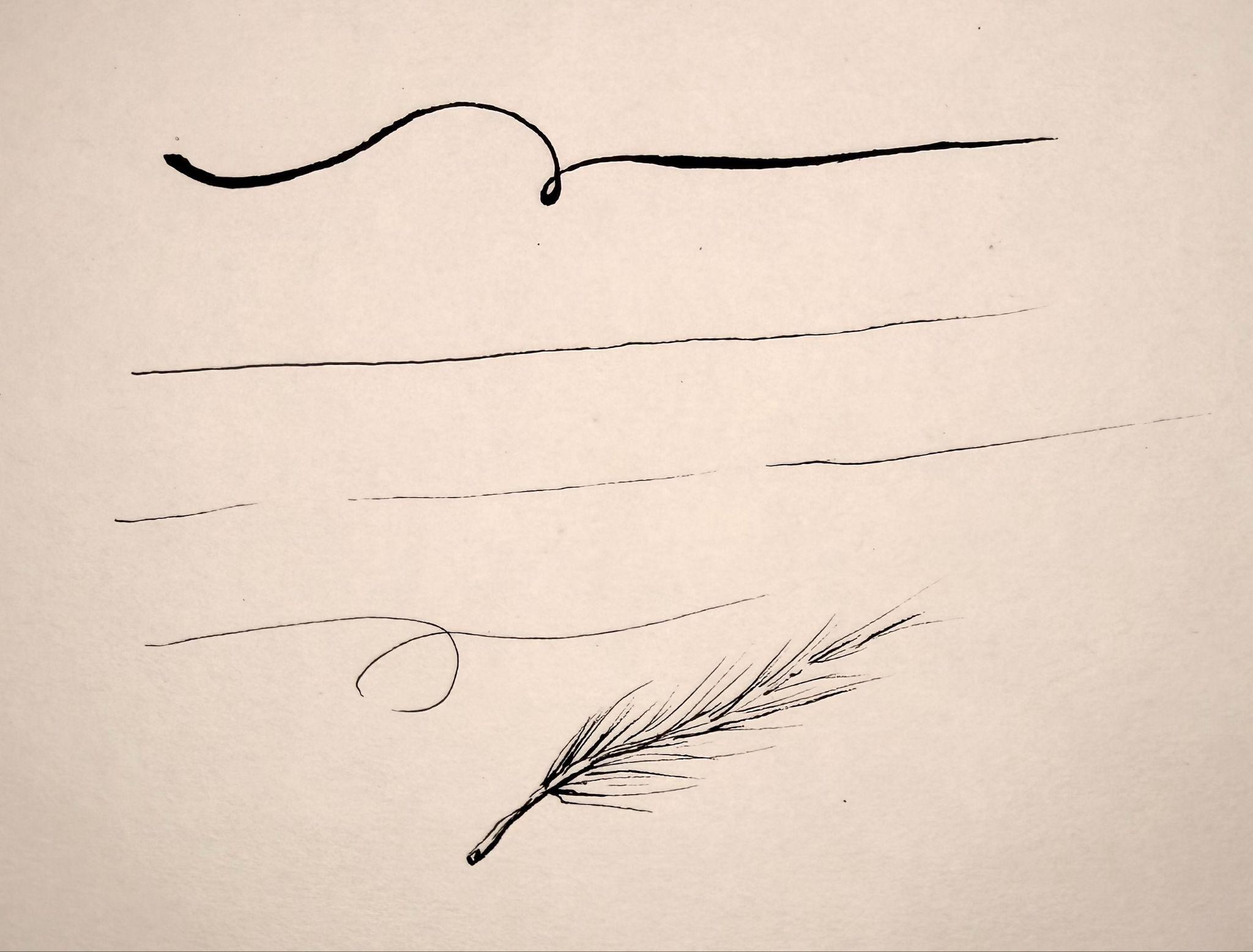 A photograph of various ink lines and a detailed feather drawing on a plain background. Lines vary in thickness and style, including a bold curved line, several thin straight lines, and a delicate spiral, showcasing different pen strokes and techniques.