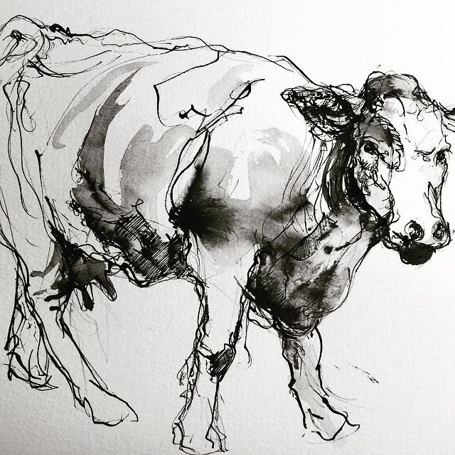 Ink and watercolor sketch of a cow, featuring loose, expressive black lines and gray shading to define form and texture. The drawing captures the animal's stance and details like ears, eyes, and hooves with a dynamic, artistic style.