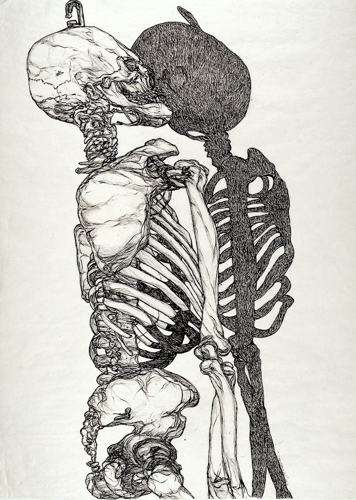 A detailed black and white drawing of a human skeleton in profile view with a shadow cast behind it. The artwork emphasizes bone structure intricacies and contrasts solid shadow shapes with fine line work.