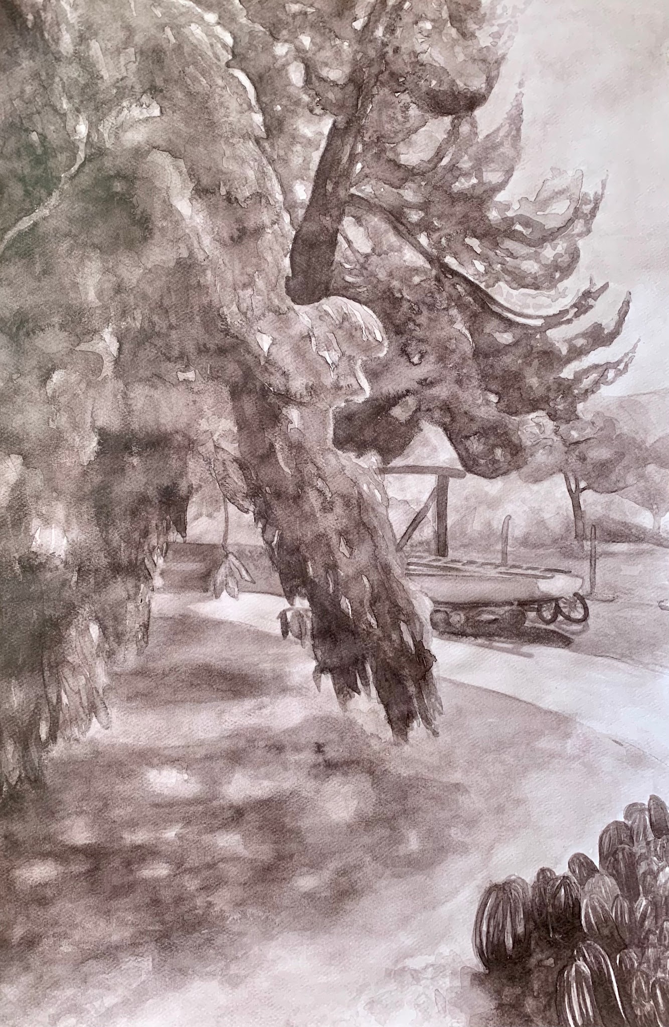 A grayscale watercolor painting depicting an outdoor scene with large, textured tree branches dominating the foreground. Soft shading creates depth and a tranquil atmosphere.