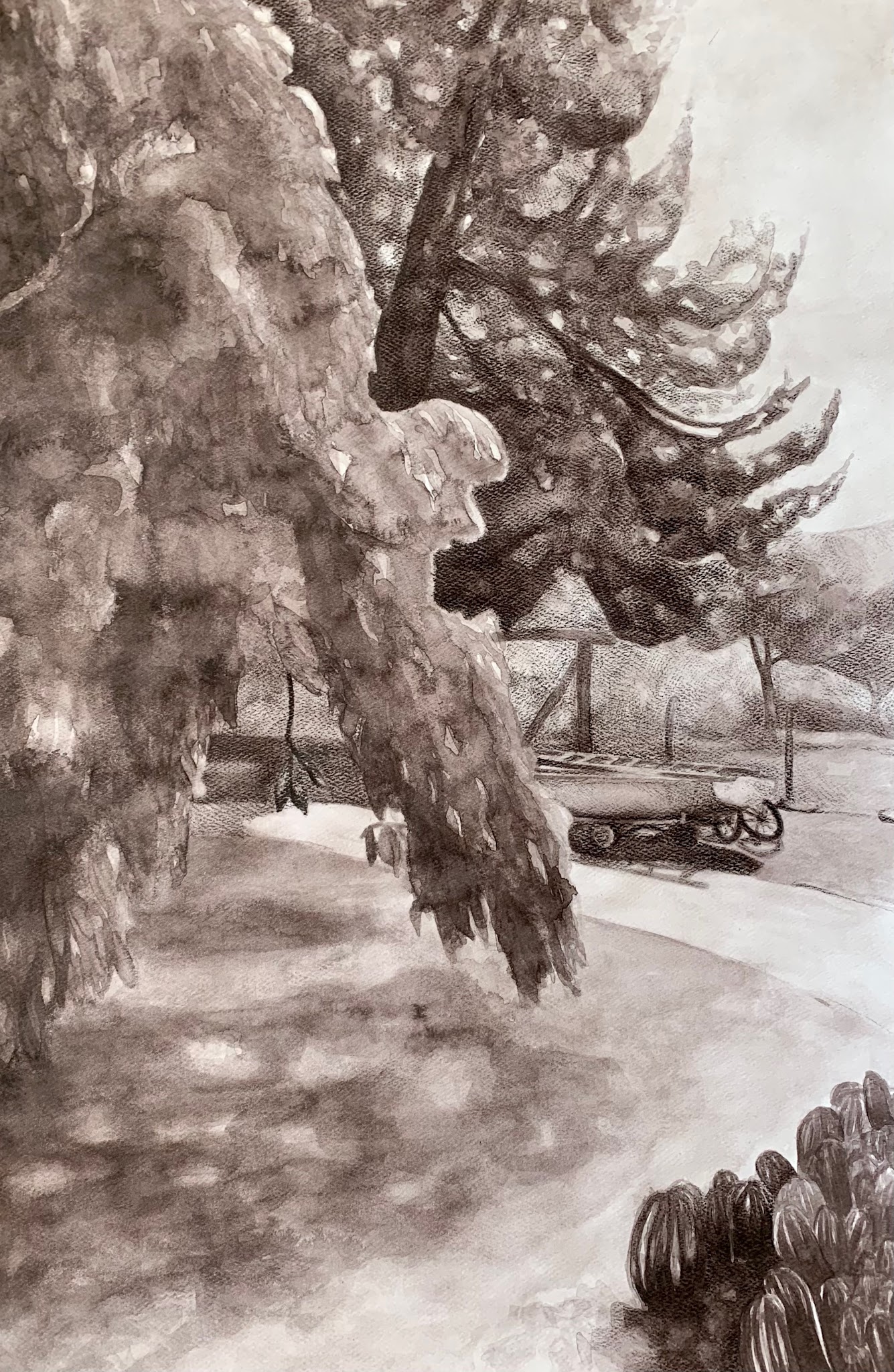 A grayscale watercolor painting depicting a large tree with dense foliage in the foreground and a boat and fence in the background. The scene captures a quiet outdoor setting with shadows cast on the ground and a fence visible in the background.