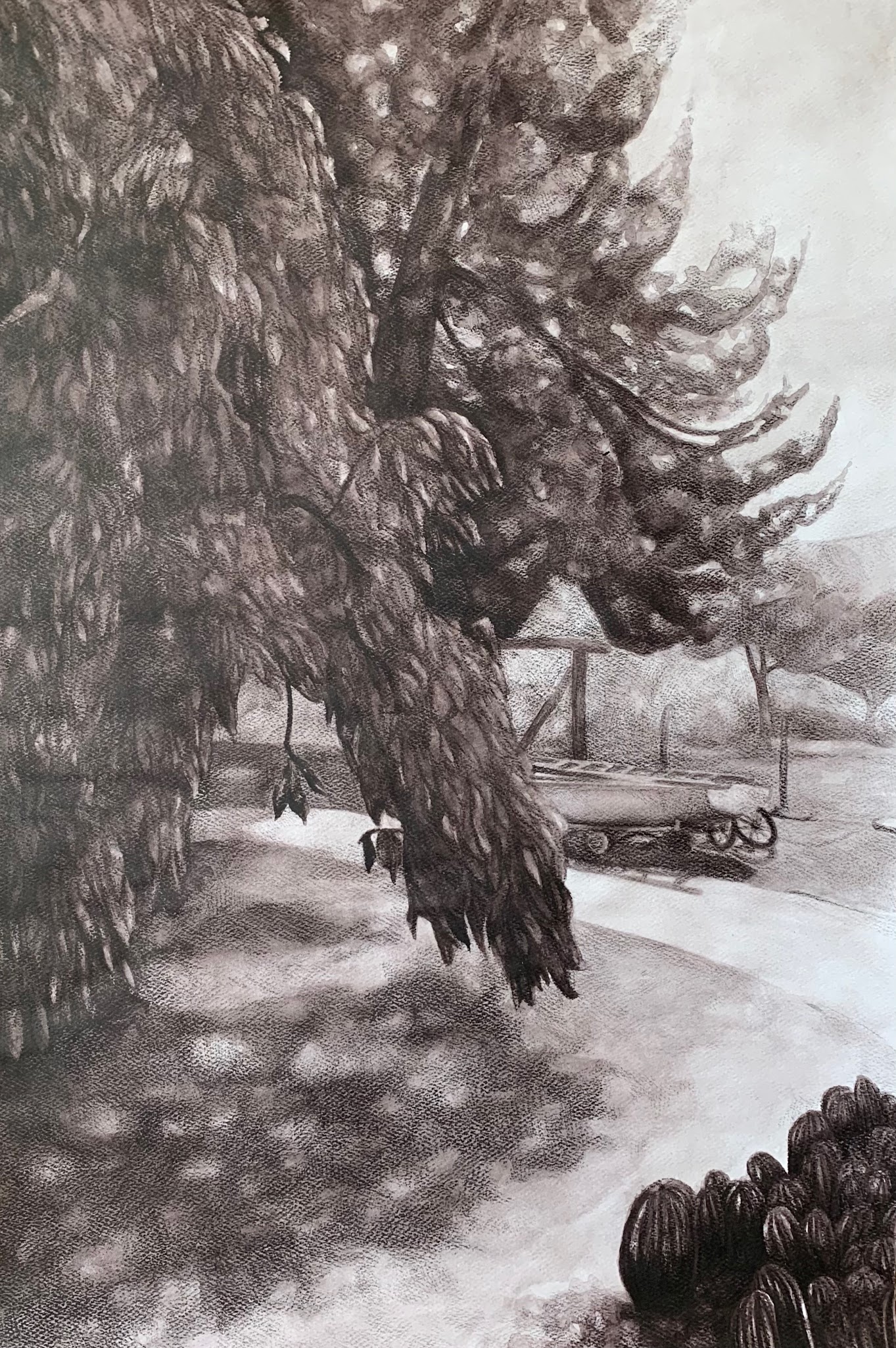 A detailed black and white Inktense watercolor drawing depicts a large tree with dense, textured foliage extending over a shaded pathway. In the background, a boat and a fence are visible, with several rounded objects clustered in the lower right corner.