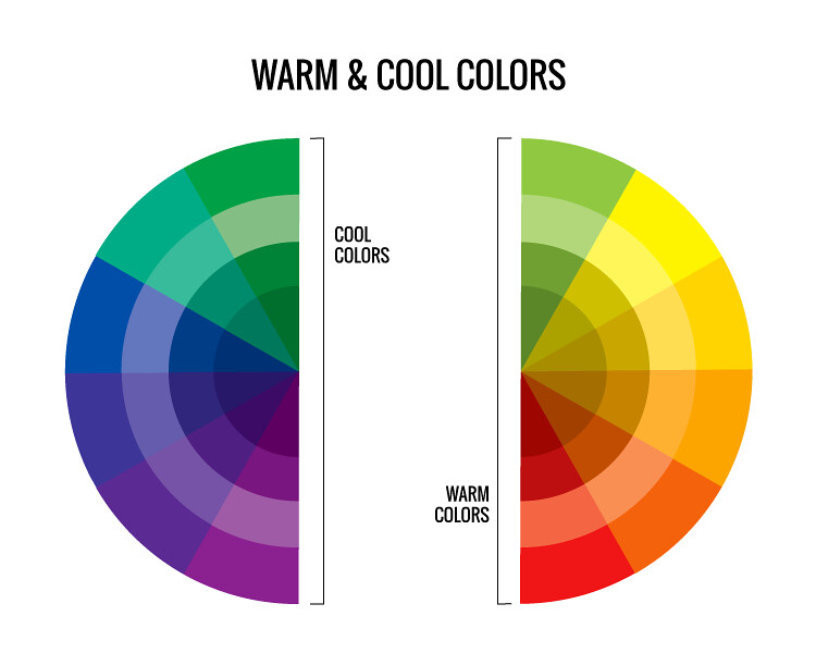 Color wheel diagram illustrating warm and cool color categories, divided into two semicircles. Cool colors include shades of green, blue, and purple on the left, while warm colors feature yellow, orange, and red hues on the right, with labels distinguishing each group.