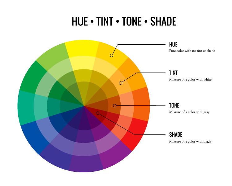 Color wheel diagram illustrating hue, tint, tone, and shade concepts with labeled sections showing pure color, mixture with white, gray, and black respectively. The wheel uses a gradient of colors from yellow to red, green, blue, and purple, highlighting variations in brightness and saturation for each category.