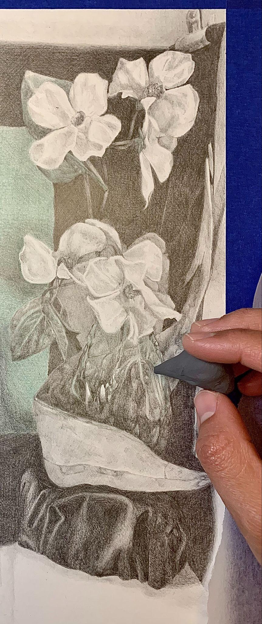 Photograph of a hand drawing a detailed pencil sketch of a flowering plant in a pot. Sketch features large blossoms, textured leaves, and shading to create depth, with the artist actively working on the lower part of the plant.