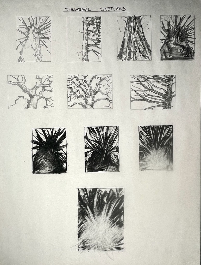 A photograph of a collection of eleven black-and-white thumbnail sketches arranged in a grid on a sheet of paper titled "Thumbnail Sketches." The sketches depict various abstract and natural forms, including tree branches and spiky shapes, with varying levels of detail and shading.