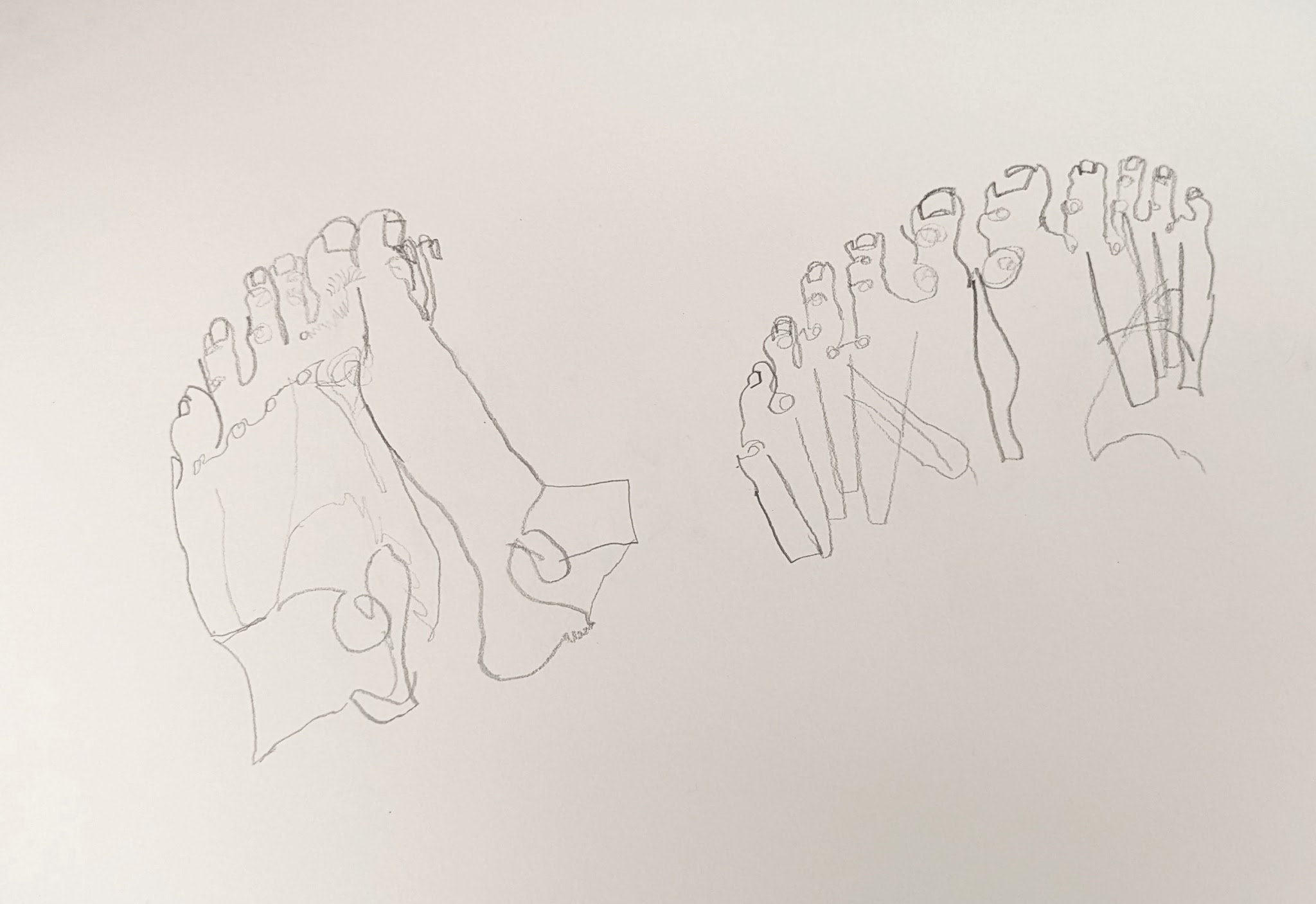 A pencil sketch showing two sets of human feet with toes and some anatomical details. The drawing emphasizes bone structure and joint connections with light, precise lines on a plain background.
