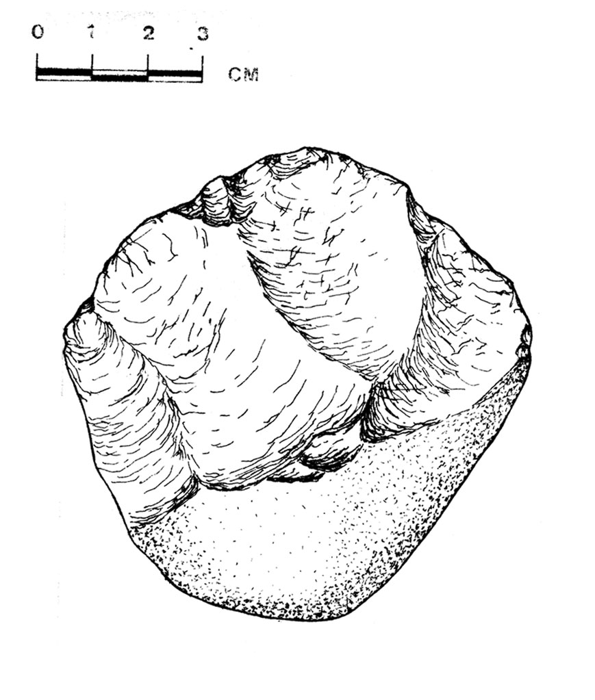 Line drawing of an organic shape with detailed ridges and grooves, accompanied by a scale bar measuring up to 3 centimeters. The illustration highlights simulated texture.