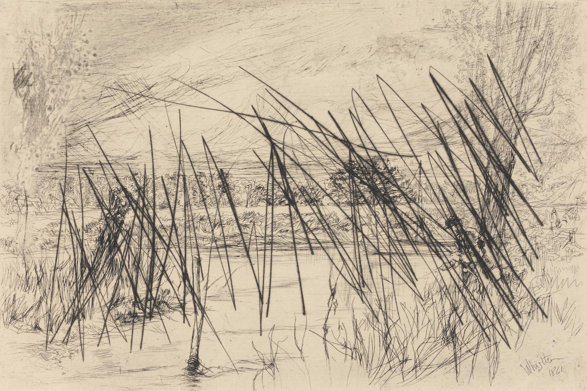 A black and white sketch depicting a natural scene with tall, thin reeds or grasses densely clustered around a body of water. The drawing features fine, overlapping lines creating texture and depth, with a subtle background suggesting a landscape and faint human figures near the water.