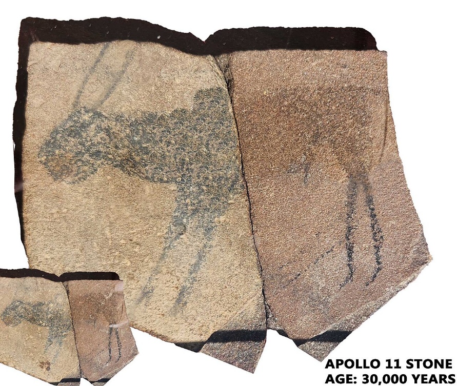 Photograph of Apollo 11 Stone, an ancient artifact featuring a simple black line drawing of an animal with long legs and horns on a rough, beige stone surface. This 30,000-year-old piece highlights early human artistic expression and prehistoric symbolism through minimalistic yet recognizable animal depiction.