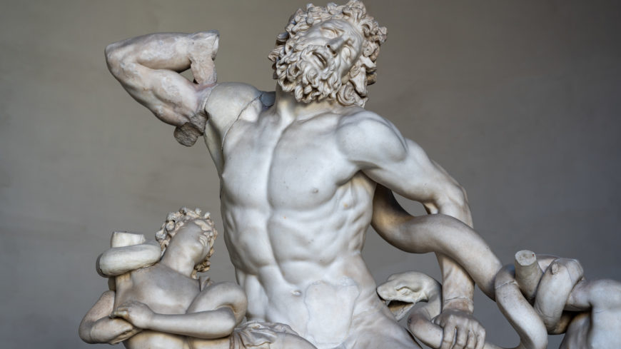 A photograph of a Laocoön and his Sons sculpture depicting a muscular man struggling with a large serpent, showcasing intricate details of human anatomy and intense facial expression. The detail of the sculpture features two figures entwined with serpents, highlighting dynamic movement and dramatic tension.