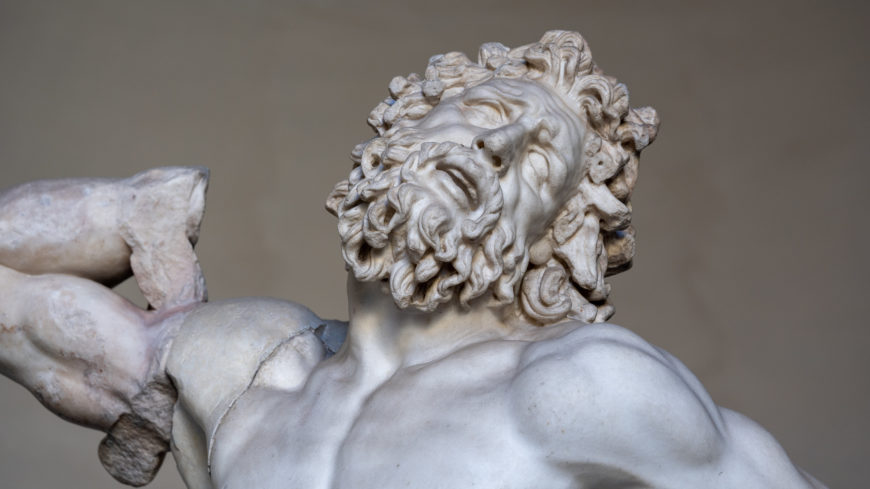 Detail image of Laocoön and his Sons depicting a muscular, bearded man with a contorted, anguished expression and detailed curly hair. The sculpture highlights intricate anatomy and emotional intensity, with the figure's arm partially missing, emphasizing its ancient and weathered condition.