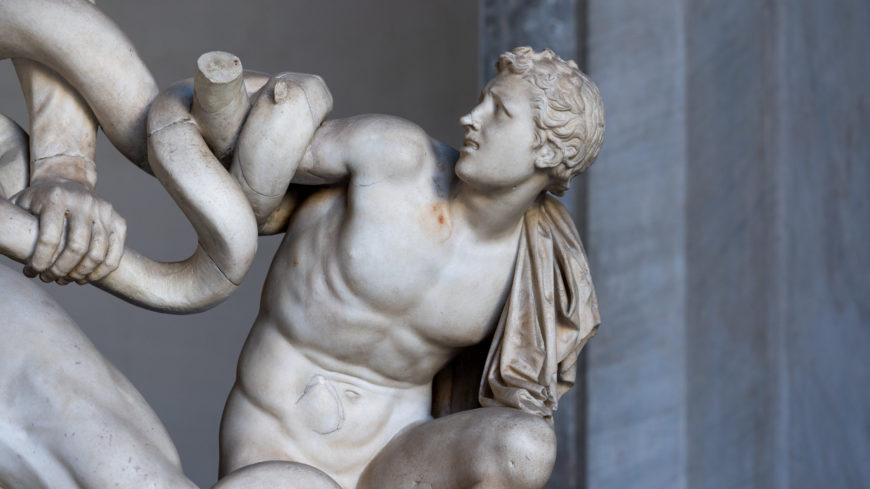 Detail image of one son from Laocoön and His Sons marble sculpture, depicting a youthful boy entangled by serpents. The sculpture highlights detailed anatomy, intense expressions, and dynamic poses.