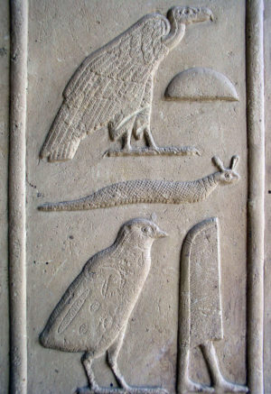 A photograph of an ancient Egyptian stone relief featuring four carved symbols: a vulture, a half-circle shape, a serpent, and a falcon standing next to a vertical rectangular shape. The relief showcases detailed textures and traditional hieroglyphic elements, highlighting symbolic representations used in Egyptian writing and art.