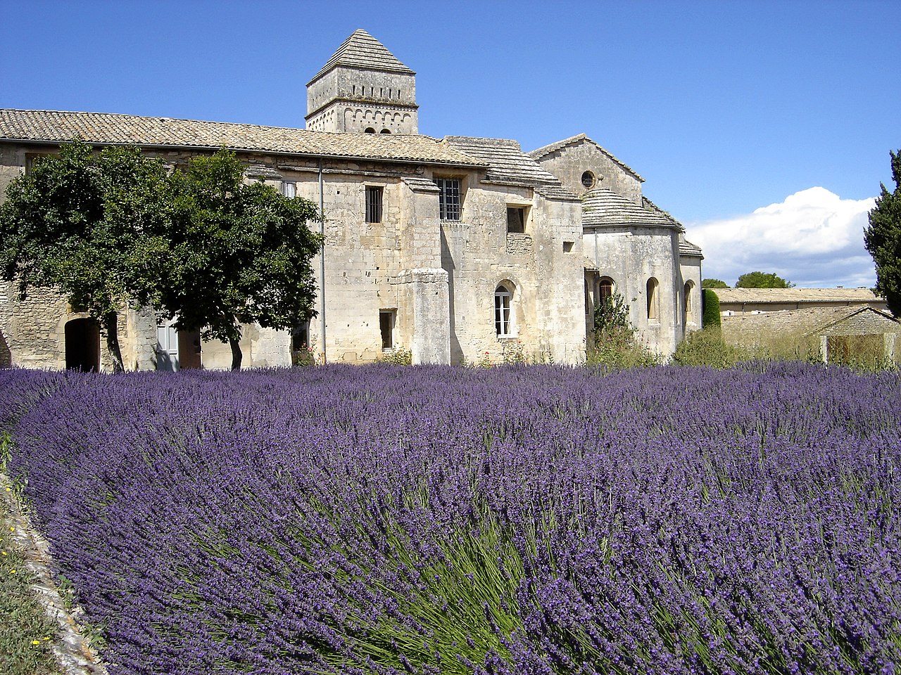 Photograph of a historic stone building with a tiled roof situated behind a vibrant lavender field in full bloom. The scene features deep purple lavender rows in the foreground, a large tree to the left, and a clear blue sky with scattered clouds above.