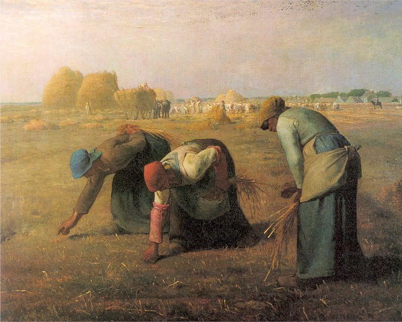 Millet, The Gleaners, painting depicts three peasant women gleaning a field, bending over to collect leftover crops after harvest. Warm earth tones and soft lighting emphasize rural labor, with haystacks and workers visible in background, highlighting agricultural life.