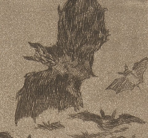 A detailed of etching depicting several bats in flight against a textured background. The drawing features intricate line work emphasizing wing structure and movement, with bats varying in size and orientation to create a dynamic scene.