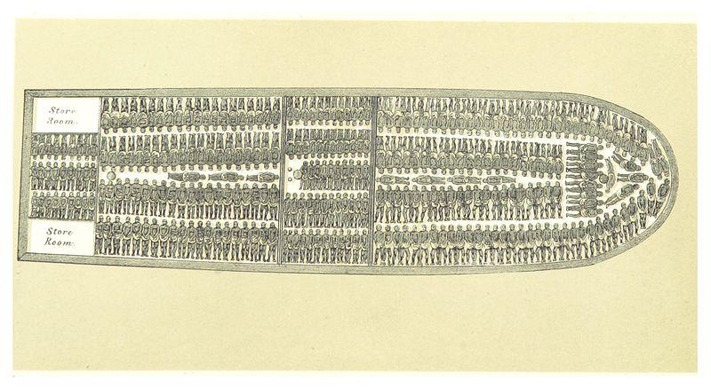Illustration of a packed slave ship, with slaves confined in rows with no room to move.